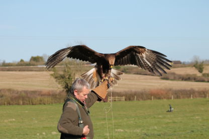 Advanced and Bespoke Courses - Image 3