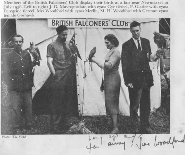 image from newspaper article of the first game fair of the British Falconer Club in 1958