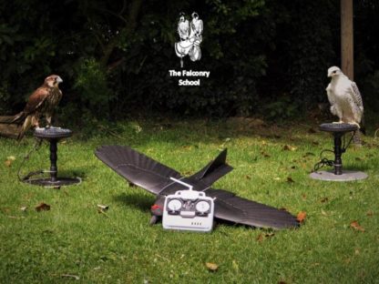 Drone flying at The Falconry School