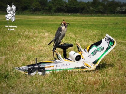 Drone flying during a workshop at The Falconry School