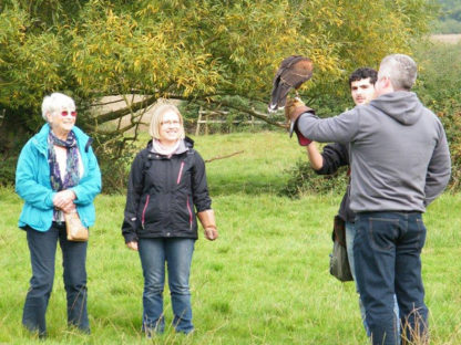 Group enjoying a falconry experience day at The Falconry School