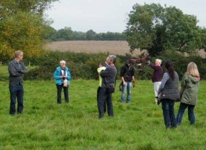 Group enjoying a falconry experience day at The Falconry School
