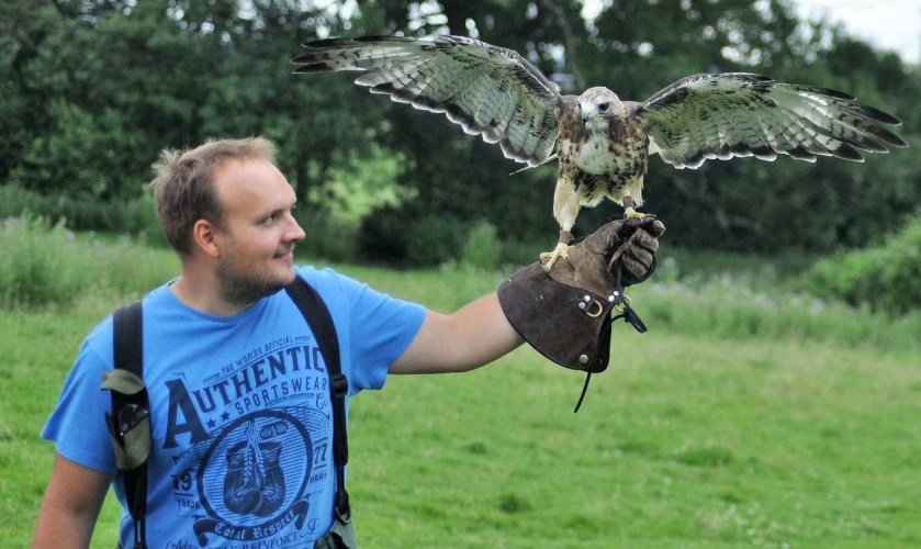 man with falcon on arm during team building event at The Falconry School